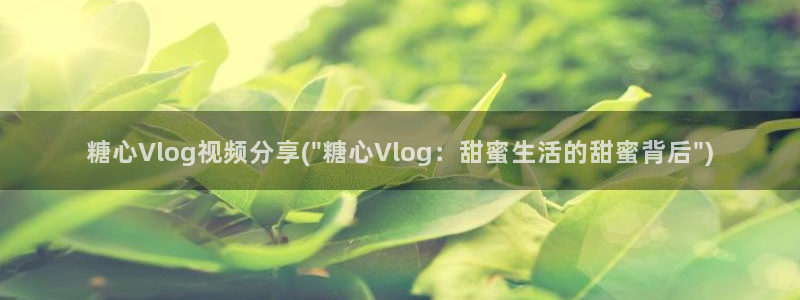 糖心vlog安装失败：糖心Vlog视频分享(\
