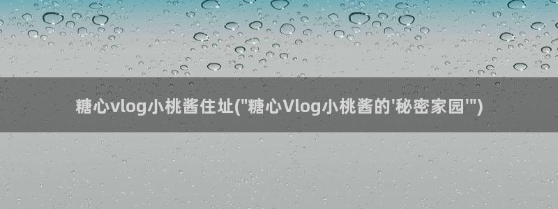 糖心视频vlog