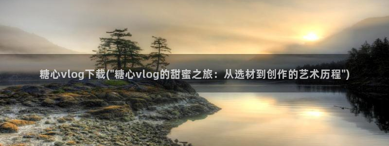糖心vlog进不去了
