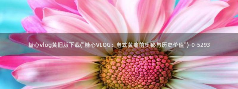 糖心官方vlog特色：糖心vlog黄旧版下载(\