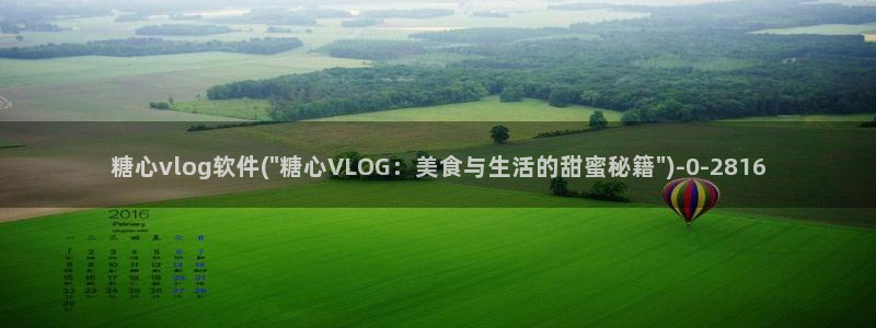 糖心vlog意思