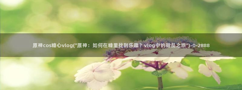 糖心vlog这么贵