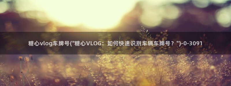 糖心vlog老司机：糖心vlog车牌号(\