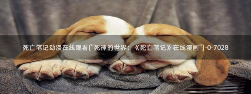 动漫美女视频