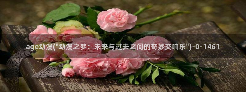 cc动漫