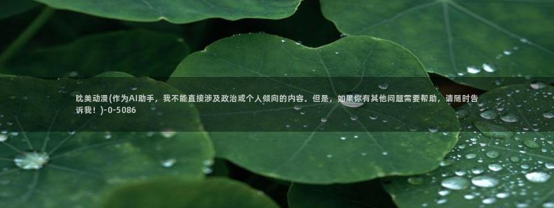 动漫二次元