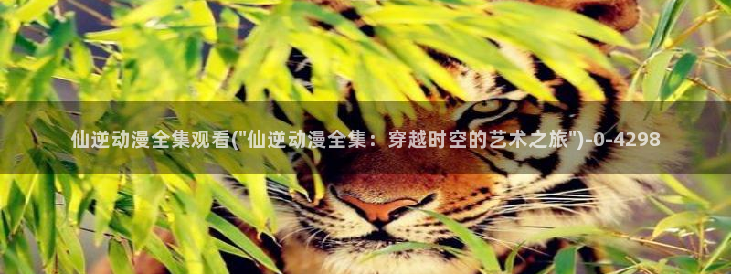 同人动漫
