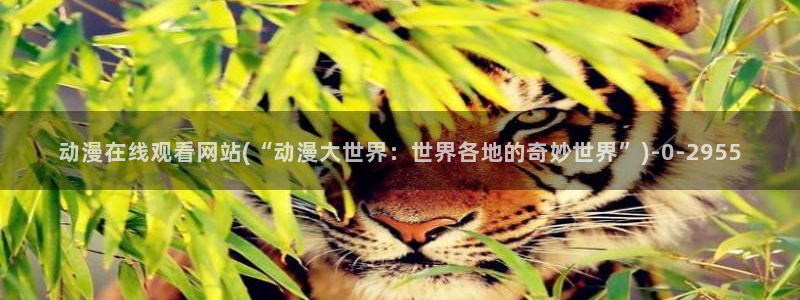 天使动漫论坛